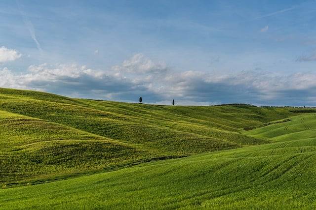 Rediscovering Ancient Traditions: Participating in Indigenous Cultural Practices and Rituals Around the World