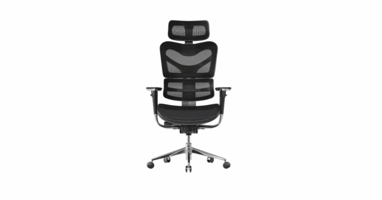 Detailed Ergomeister Chair Review – Comfort, Design, and Performance