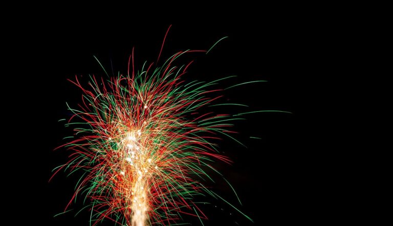 Allpaanel: Revolutionizing Solar Energy Solutions in India